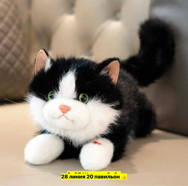 Котик 23546155